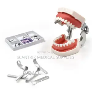 Dental Sectional Contoured Metal Matrices