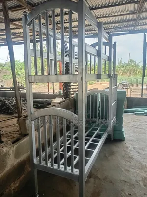School Bunks