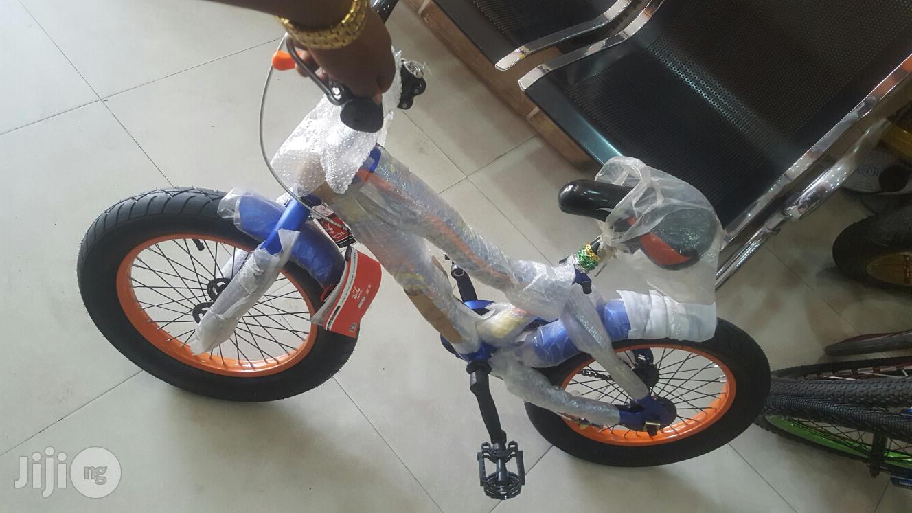 Big Tyer Bicycle