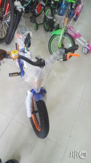 Children Big Tyre Bicycle