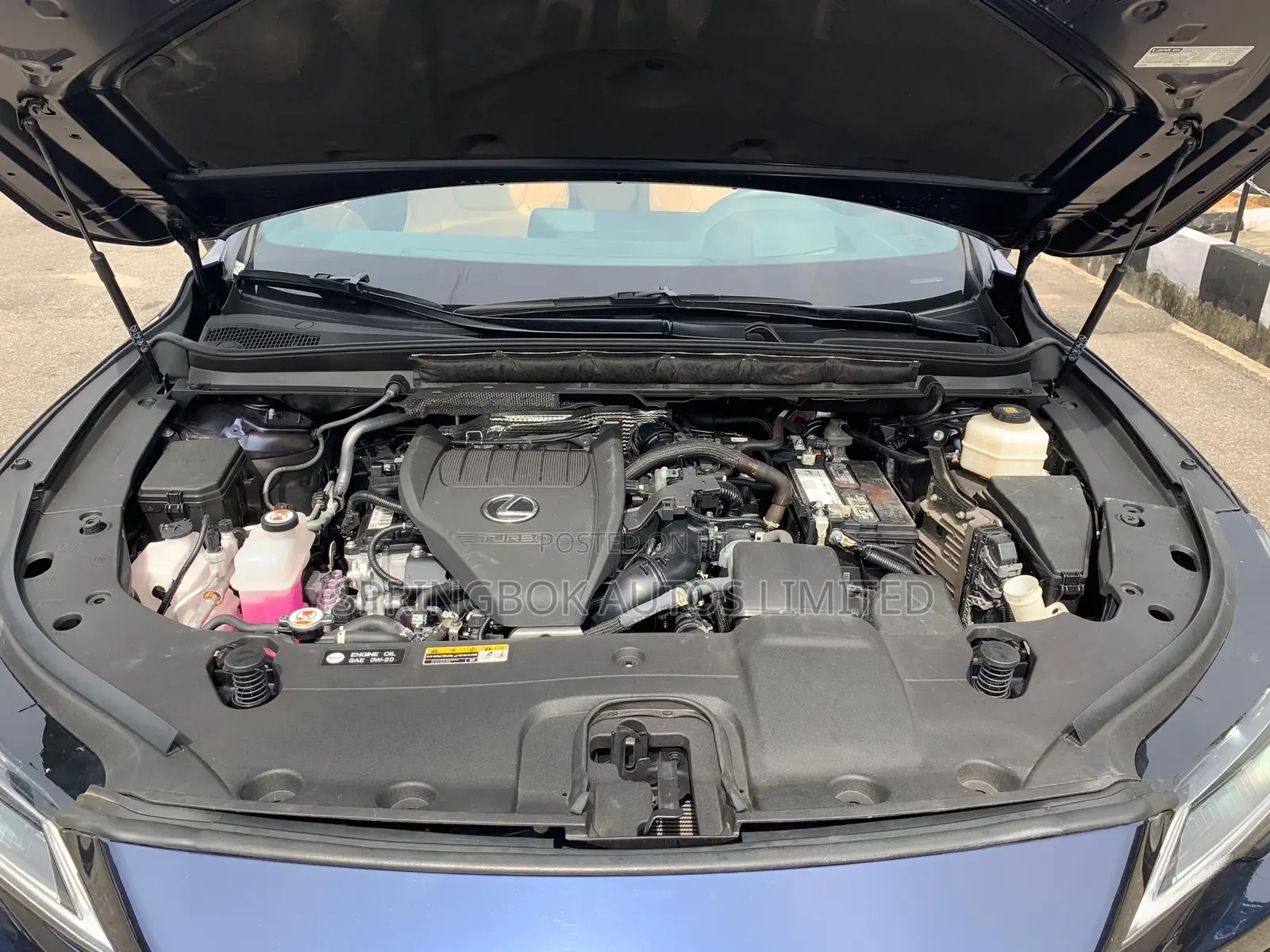 Lexus RX 2024 Blue