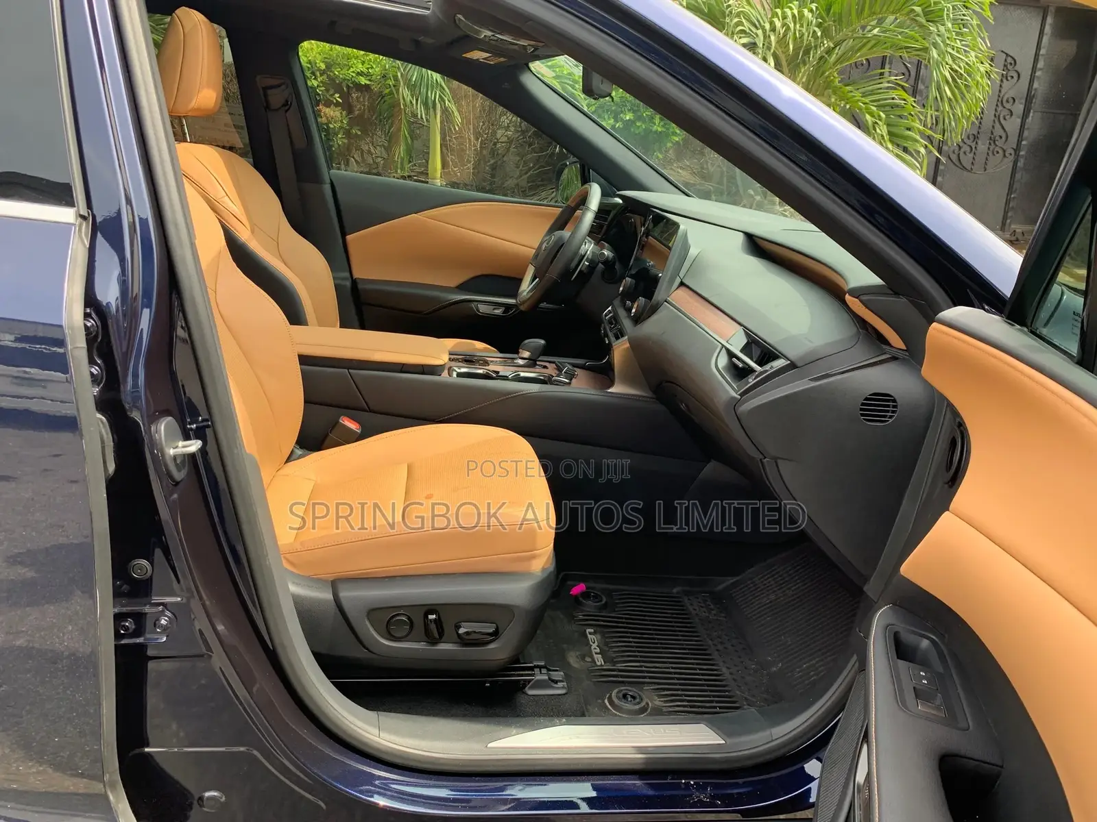 Lexus RX 2024 Blue
