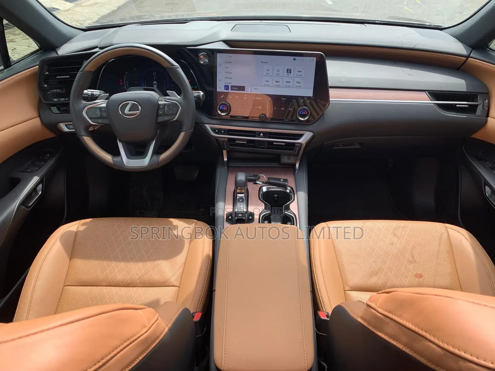 Lexus RX 2024 Blue