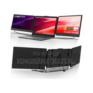 Portable Triple FHD 1080p Ips Screen Monitor