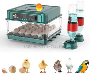 30 Eggs Incubator