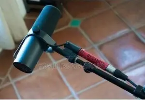 Se Electronics Dm1 Dynamite Active Inline Microphone
