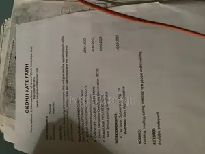 Housekeeping Cleaning CV
