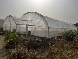 Greenhouse Construction