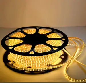 Rope Lights