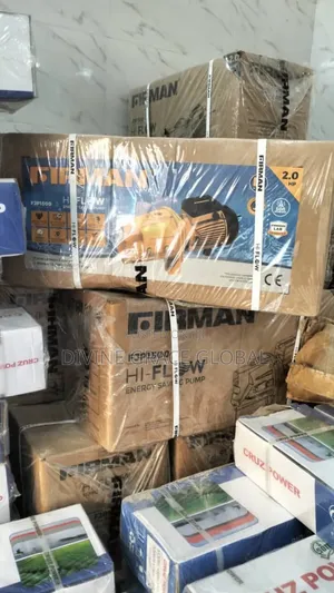 Firman Surface Pump