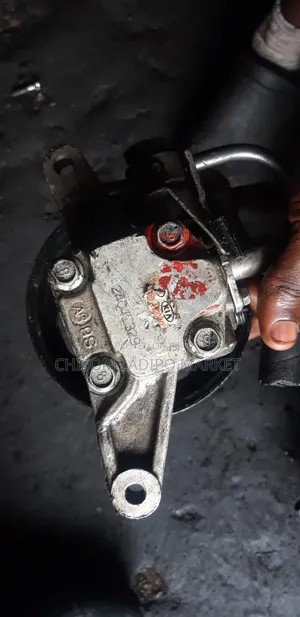 Power Steering Pump for Kia Sorento 2002,2003 2005