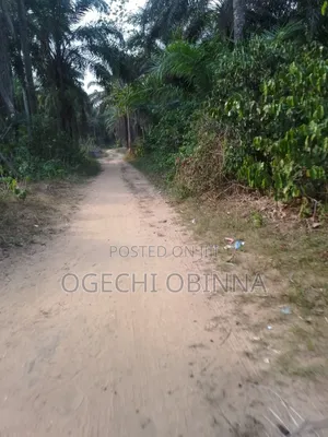 Distress 3 Plots of Genuine Land for Sale at Ulakwo Etche