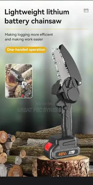 Rechargeable Chain Saw With 2 Batteries