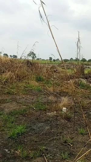 Plots of Land for Sale at Ngbakwu