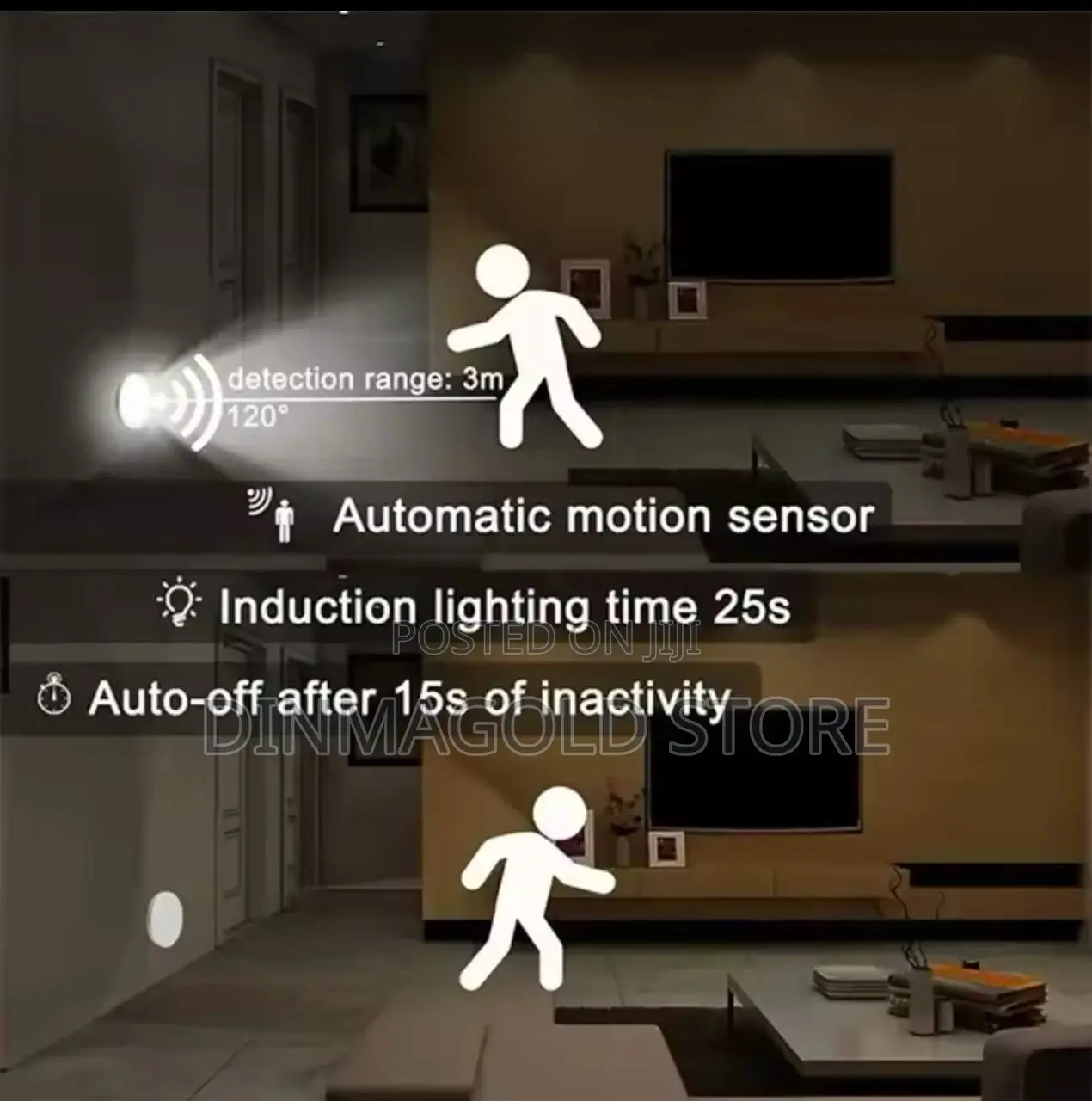 Sensor Induction Motion Light
