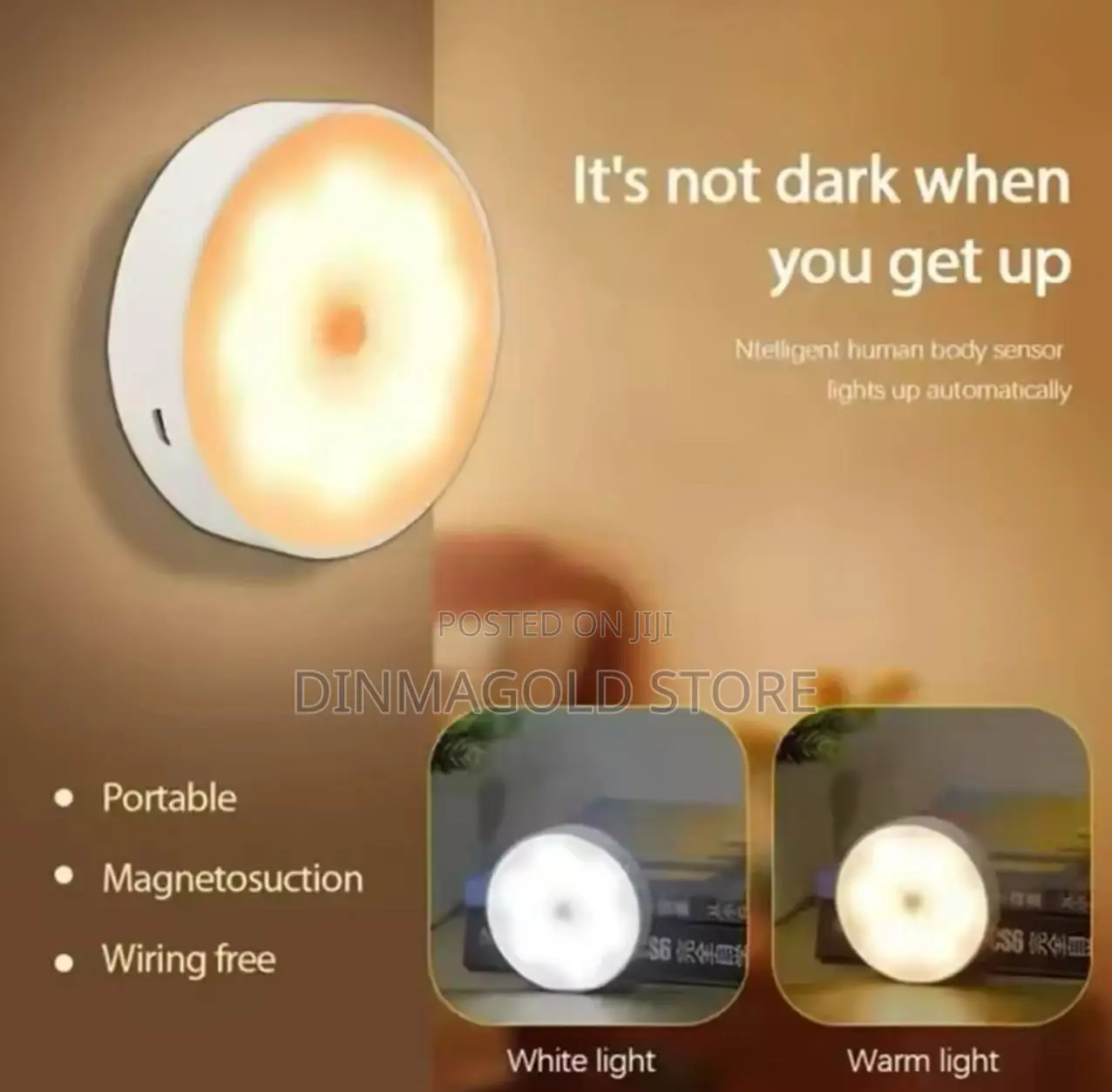 Sensor Induction Motion Light