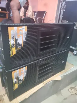 Zed 10inches Line Array 1