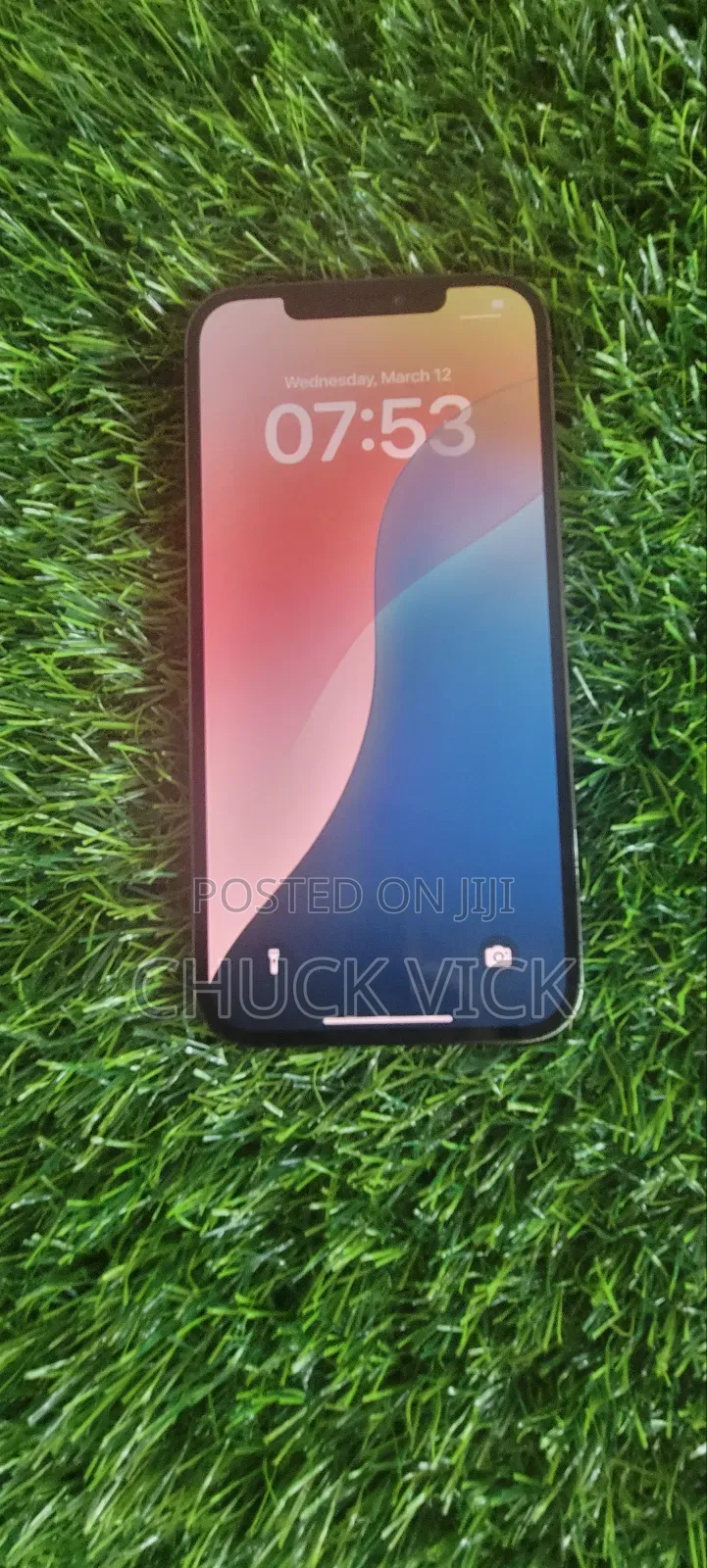 Apple iPhone 12 Pro Max 256 GB Gray