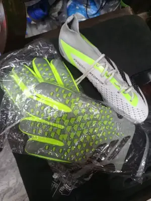 Keeper's Glove