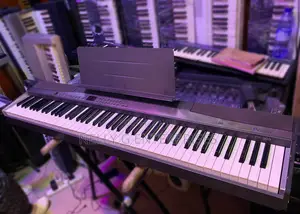 Casio Privia Px300 Piano 88-Key Weighted