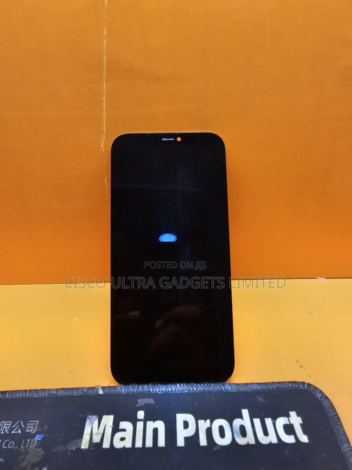 iPhone 12promax Icloud Screen