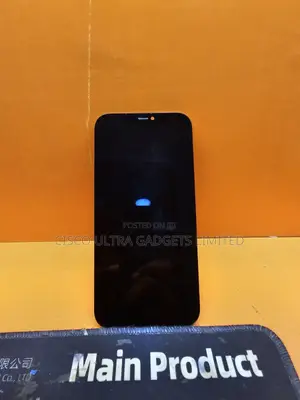iPhone 12promax Icloud Screen