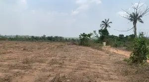 Affordable Land for Land Banking for Sale at Idi-Ayunre, Ibadan