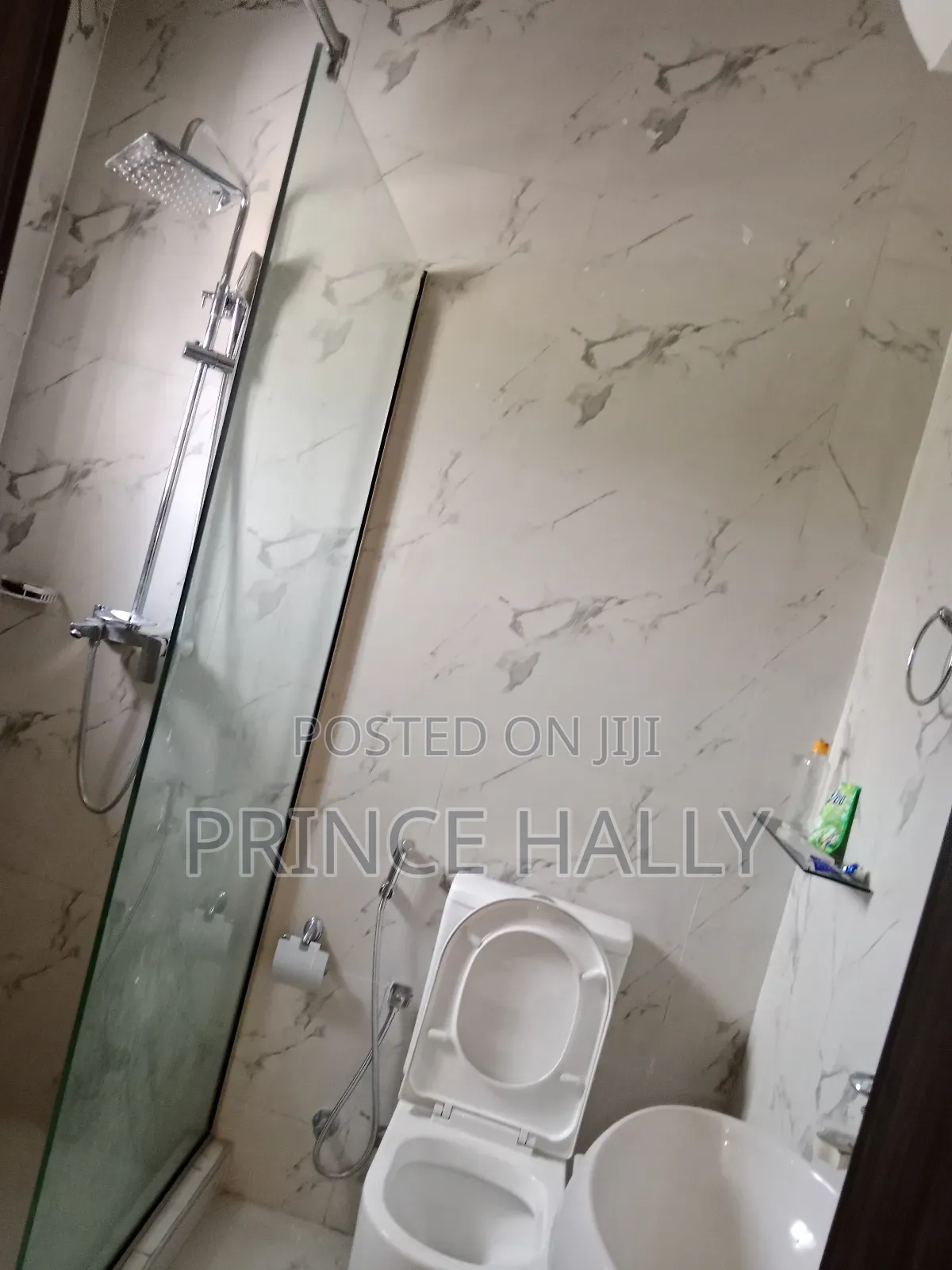 Furnished 4bdrm Duplex in Naf Valley, Asokoro for rent