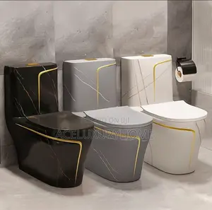 Grey Color Luxury Water Closet