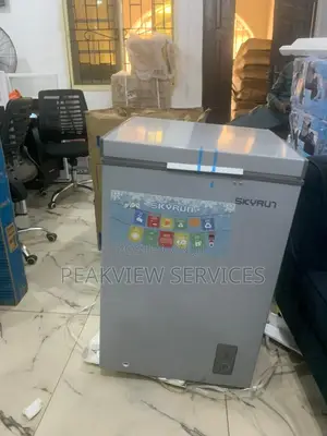 Skyrun Bd-90a Refrigerator - Compact Yet Powerful!