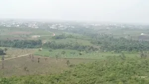 Mega Development Alert