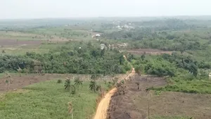 Mega Development Alert