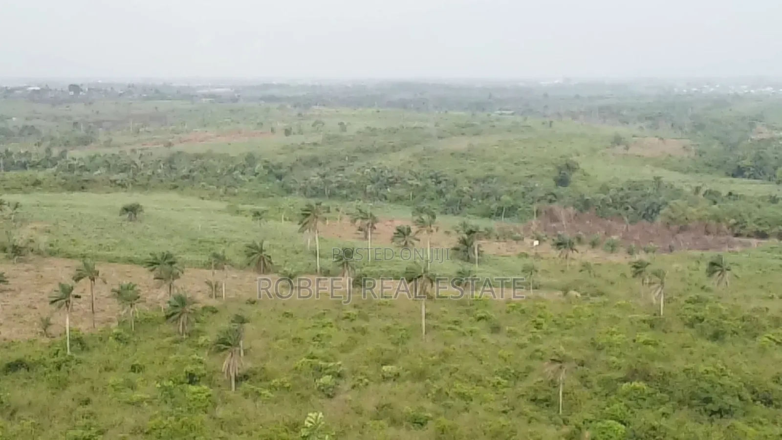 Mega Development Alert