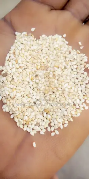 Bennie Seeds (Sesame Seeds) Cleaned