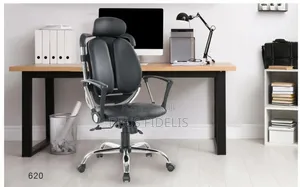 Kidney Ergonomic Office Chair