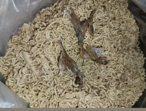 Photo - Pet Fish Noodles