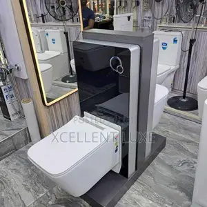 Wall Hung Wc With Surface Tank