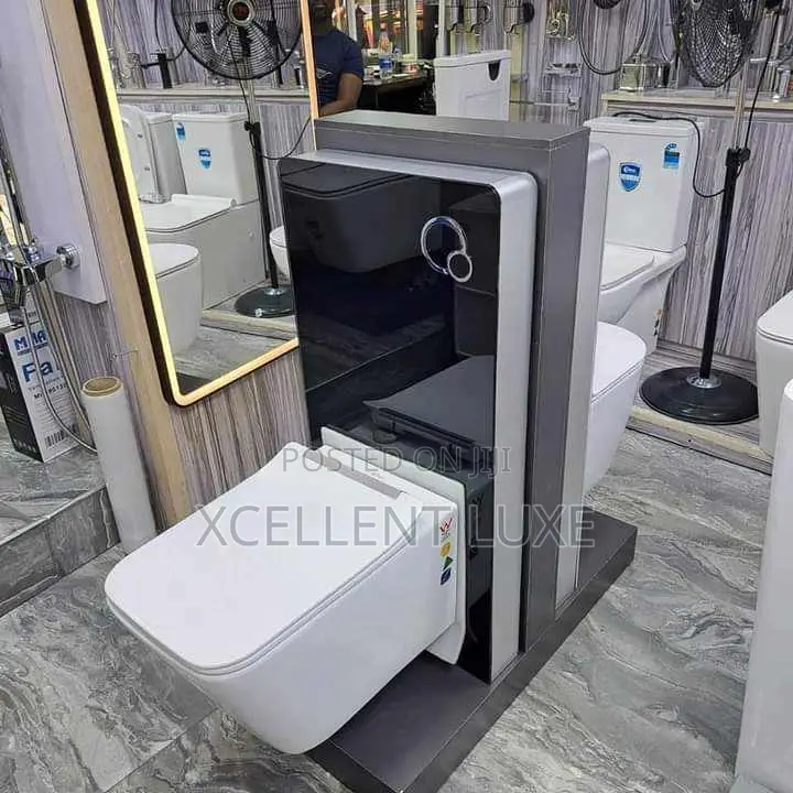 Wall Hung Wc With Surface Tank