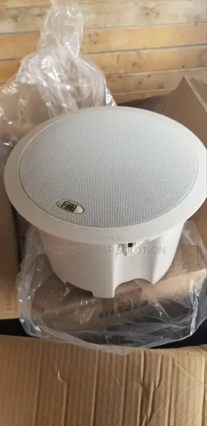 Ordinary 30watts Ceiling Speaker