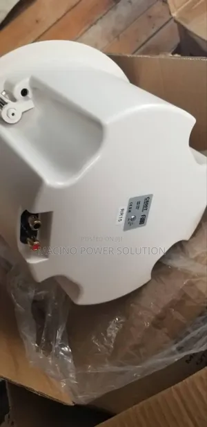 Ordinary 30watts Ceiling Speaker