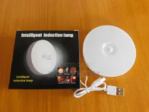Motion Sensor Light