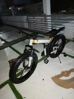 Big Alloy Tyre Foldable Bicycle
