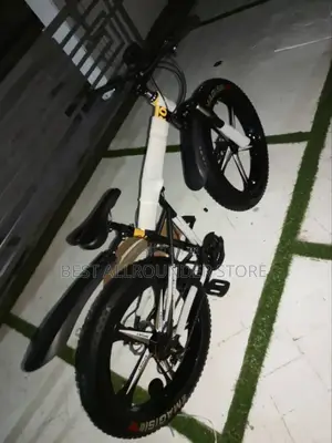 Big Alloy Tyre Foldable Bicycle