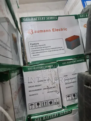 100ah 12v Baumann Eletric Gel Battery