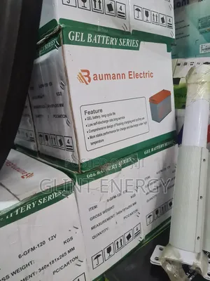 100ah 12v Baumann Eletric Gel Battery