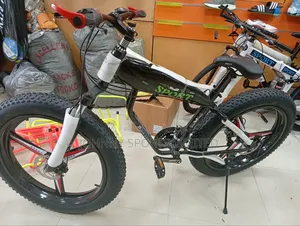 BMW Bicycle