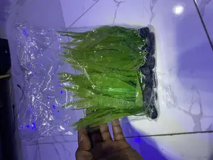 Mini Plants for Tanks and Bowl