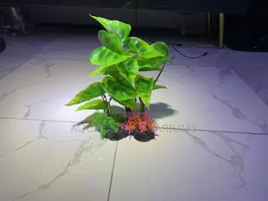 Tree Decor for Aquarium