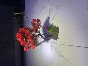 Tree Decor for Aquarium