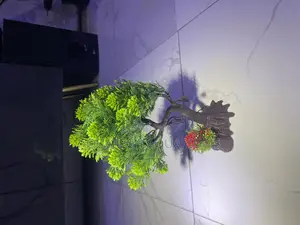 Tree Decor for Aquarium